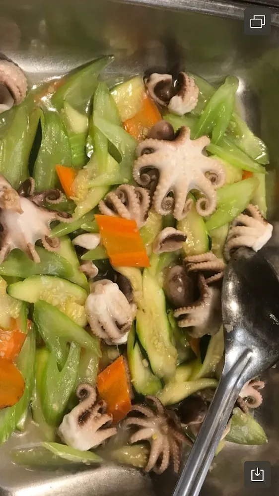 Fresh Octopus